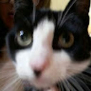 Meet your Posher, Samara